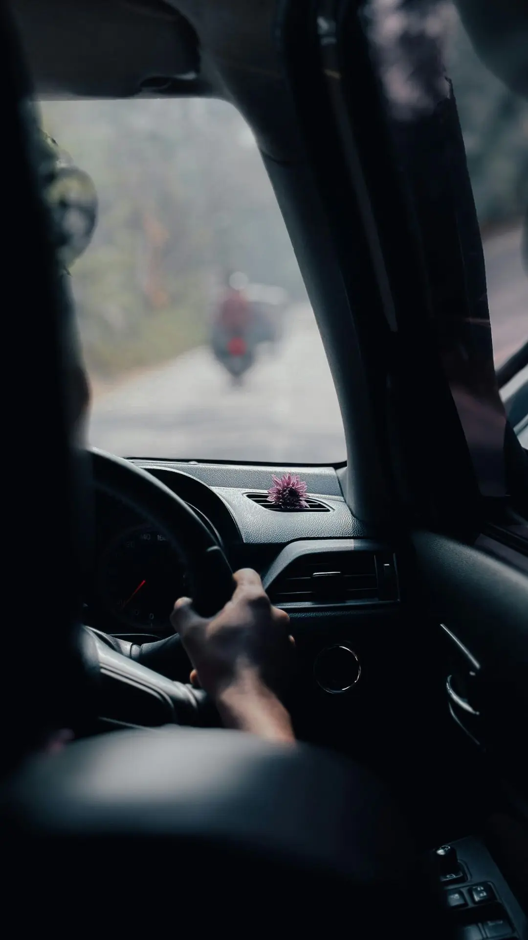 سواق سياحي في مصر